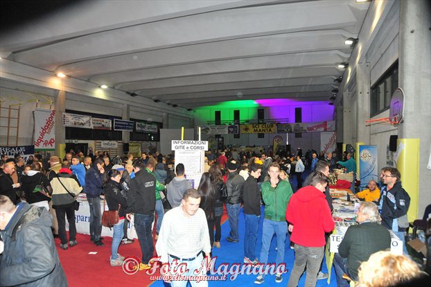 DSC_6463.jpg